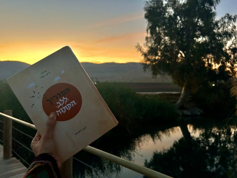 WhatsApp Image 2025-12-07 at 13.33.33