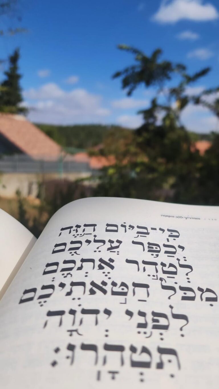 WhatsApp Image 2025-12-07 at 13.33.51 (2)